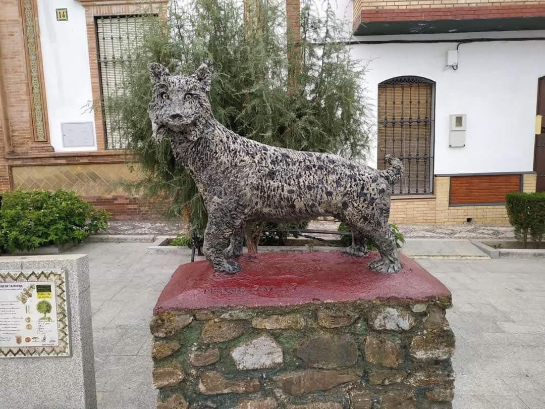 El Real de la Jara Alojamiento Rural An Ca La Abuela Pilar מראה חיצוני תמונה
